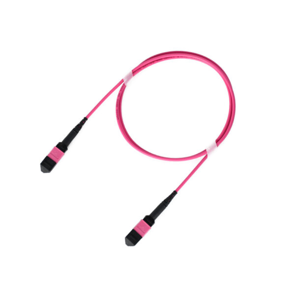 Fiber Optic Patch Cable|Fiber Optic Patchcord MTP-MTP F to F 24 Cores Type B Multimode OM4 Corning Elite Low Loss ≤0.35dB 3.0mm Flame Retardant LSZH 5m (16.5ft)