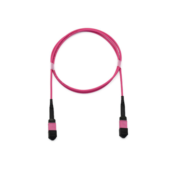 Fiber Optic Patch Cable|Fiber Optic Patchcord MTP-MTP M to M 24 Cores Type B Multimode OM4 Corning Elite Low Loss ≤0.35dB 3.0mm OFNR Riser 5m (16.5ft) - Image 2