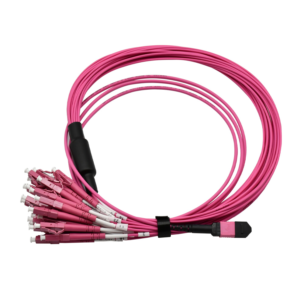 MPO 24 LC OM4 Fiber Patch Cord 1