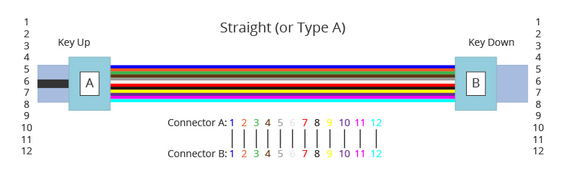 mpo patchcord (2)