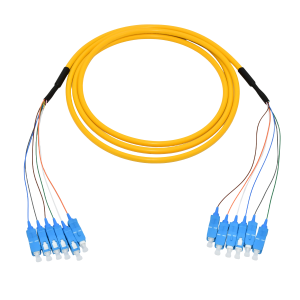 SC Fiber Optic Patch Cable (1)