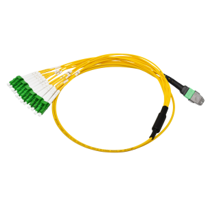 12C MPO LC Fiber Patch Cable (1)