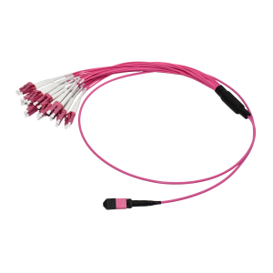 24 core MPO LC Fiber Patch Cord (1)