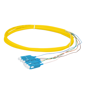 6 core SC Fiber Pigtail (1)