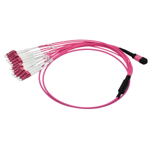 MPO 12 LC Fiber Patch Cable (1)