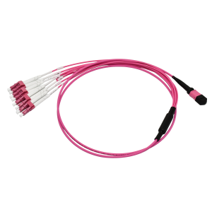 MPO LC Fiber Patchcord (1)