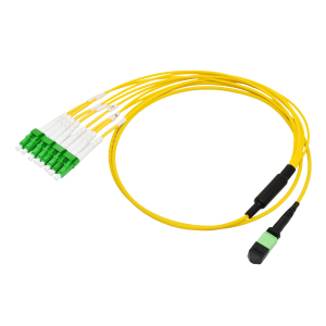 MPO(male) LC APC Fiber Patchcord (1)