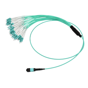 Multimode MPO LC Fiber Patch Cord (1)