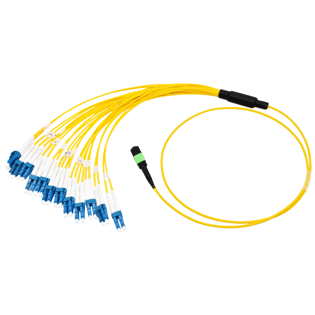 Single Mode MPO LC fiber patchcord 1